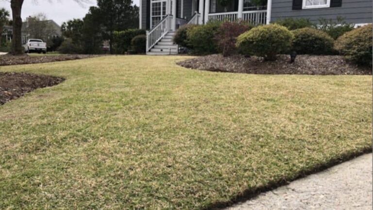 sod grass, fescue, Bermuda grass, zoysia, sod