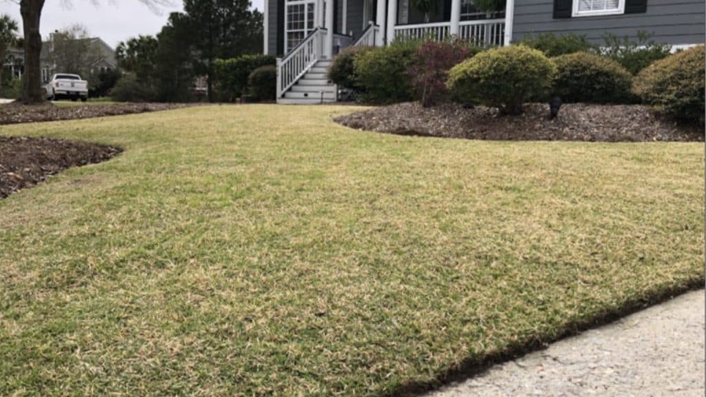 Why is my grass lawn not green ?? Haul and Install Landscaping