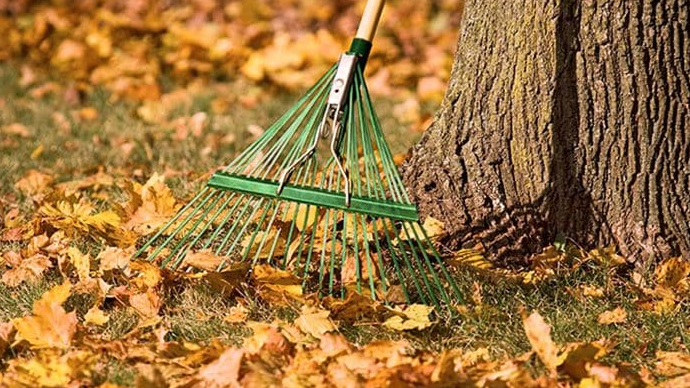 leaves, leaf, leaf rake, leaf removal, landscape cost
