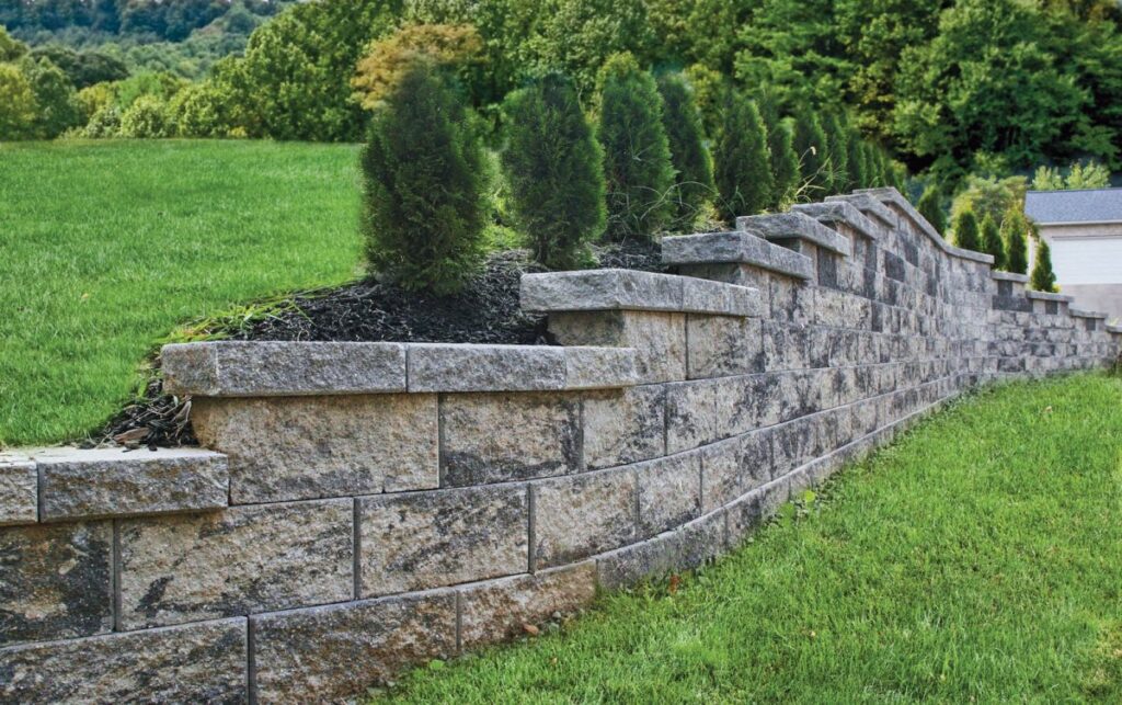 retaining wall, wall, arborvitae, retaining wall cost