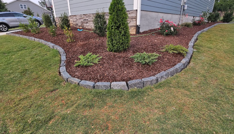 stone edging, mulch, landscape cost, camellia, Bermuda grass