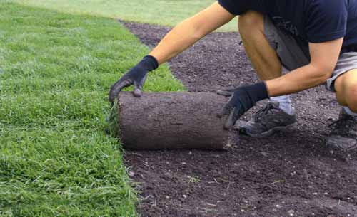 sod cost, sod, Bermuda sod, grass lawn