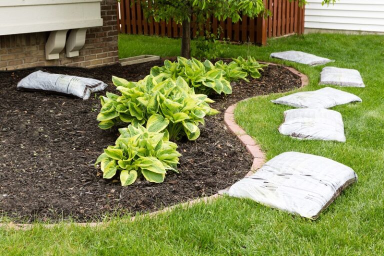 hostas, mulch, grass, fescue lawn, fescue sod, stone edging, landscape cost